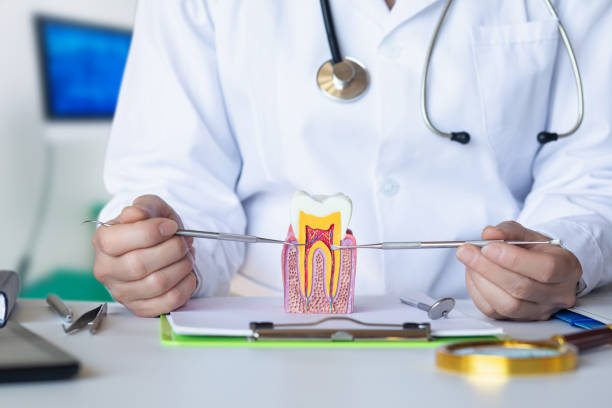 Best Emergency Treatment for Dental Infections or Abscesses in Myrtle Point, OR